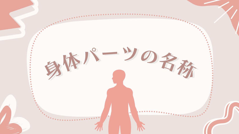 ヨガ英語　体の名称